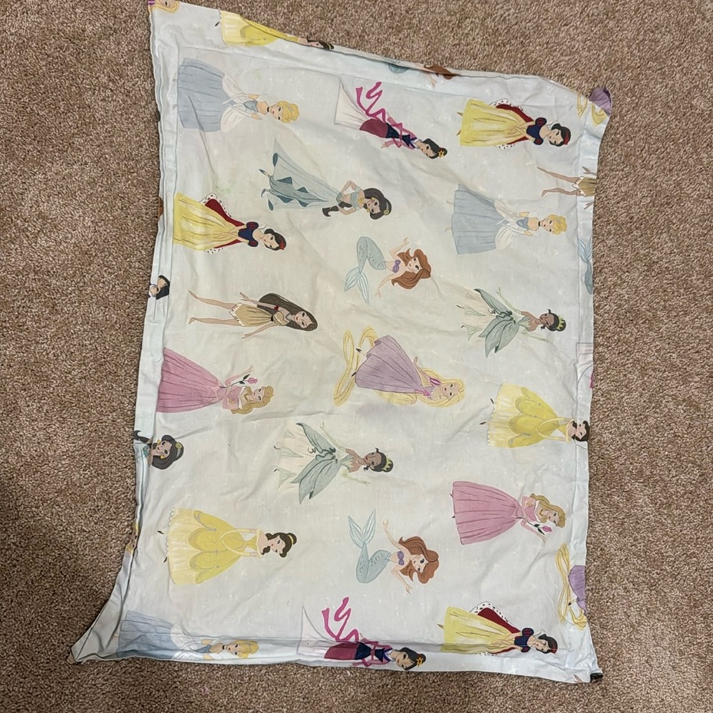 Pottery Barn Duvet with pillow case